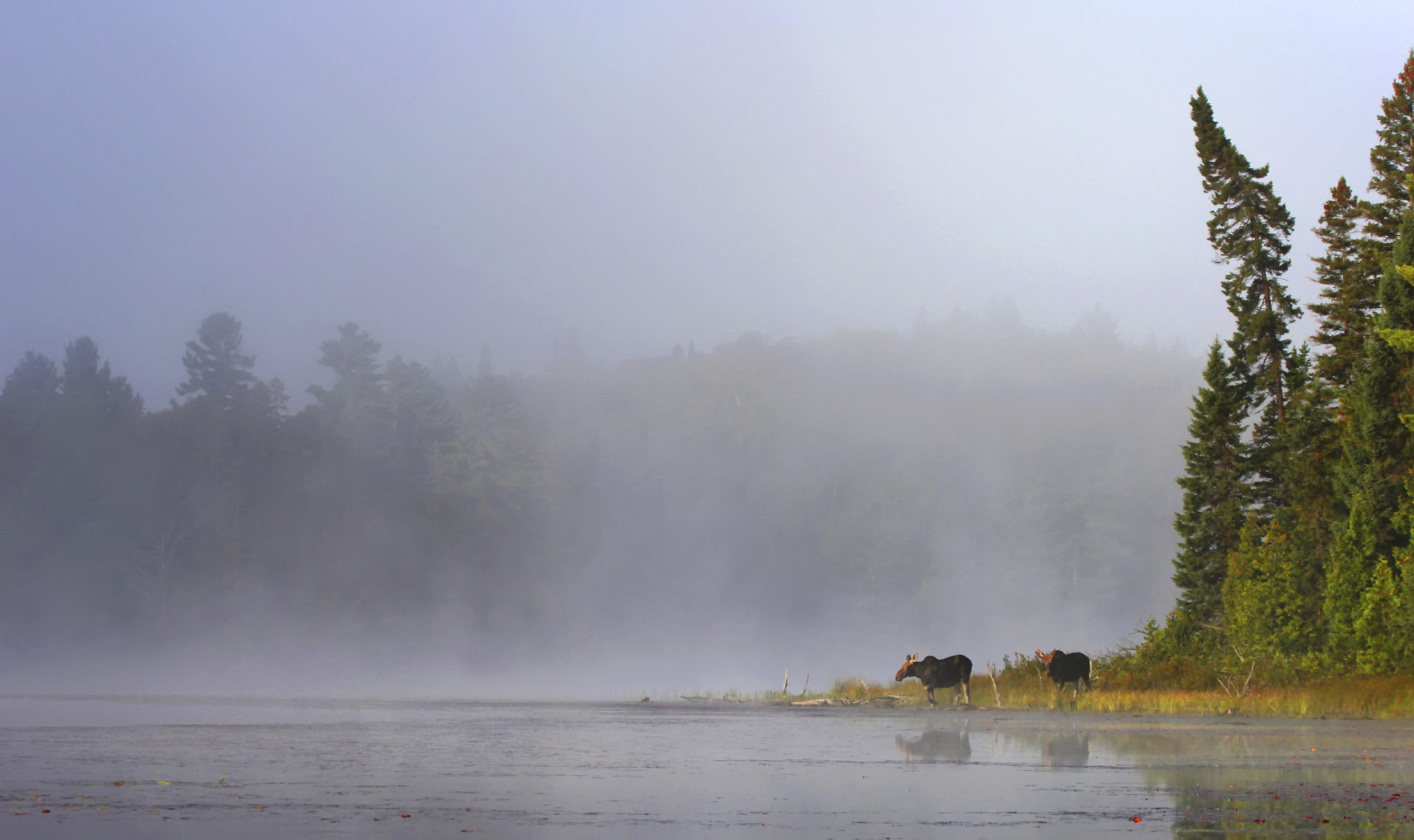 MEDIA ADVISORY Fort McKay Prepares to Defend Key Cultural Heartland